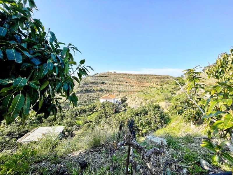 Foto a5a0f100-1cf2-4d0c-87e1-0f23f8518b28. Masia amb aparcament a Norte - Barrio del Pilar - El Reñidero Vélez - Málaga