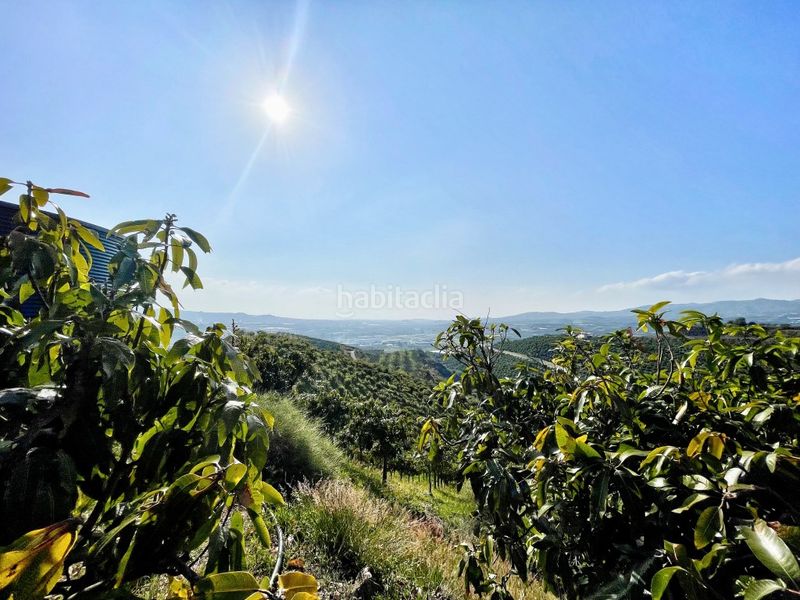 Foto ba6c700a-7df9-48e9-aba5-9a69f551d91d. Masia amb aparcament a Norte - Barrio del Pilar - El Reñidero Vélez - Málaga