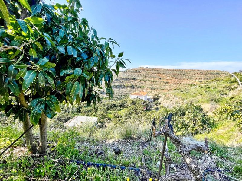 Foto de0ecc09-881f-42c8-9387-55fe26a46f10. Masia amb aparcament a Norte - Barrio del Pilar - El Reñidero Vélez - Málaga