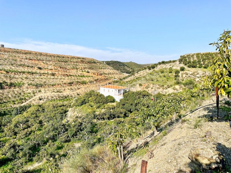 Foto f448363b-ad05-42c5-b402-fa6782659d06. Masia amb aparcament a Norte - Barrio del Pilar - El Reñidero Vélez - Málaga