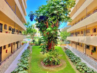 Miete Appartement in Benajarafe. Apartamento en benajarafe con vistas al mar