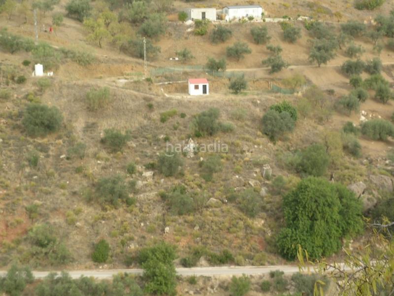 Foto 79864bbb-8782-41d2-bc70-e96236526c8c. Finca rústica a Comares