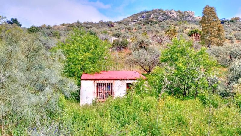 Foto d6f878ef-e255-4e0c-92c3-67d6b473525e. Finca rústica a Comares
