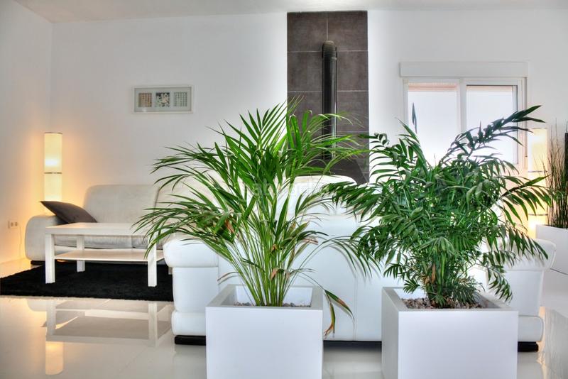 Foto 2e076120-dc2d-4040-8b96-f3ad38f8b56b. Bauernhof mit heizung pool in Comares