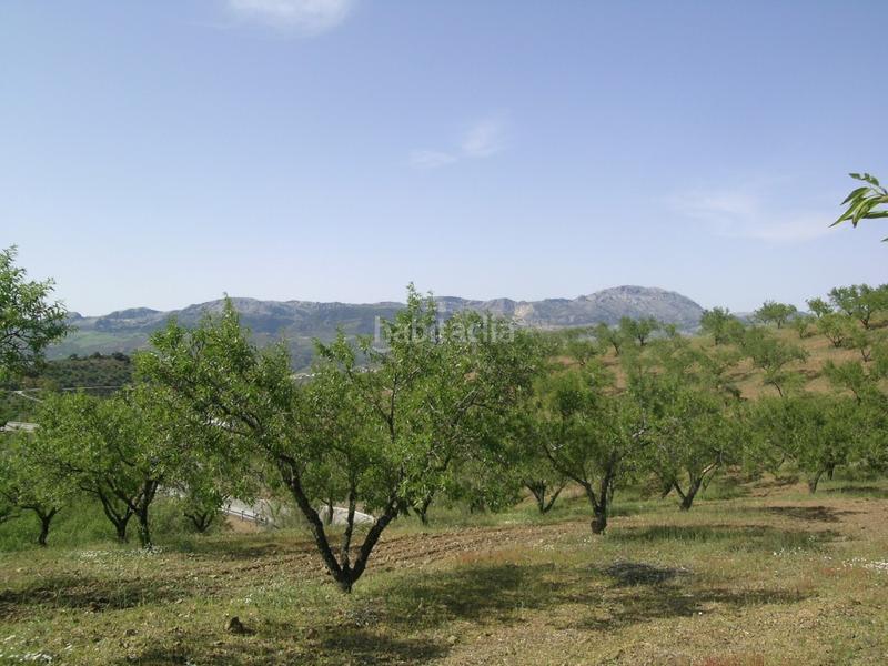 Foto 089e4ebd-b7e8-4d4f-9624-10c8b35091dc. Mas avec parking dans Colmenar