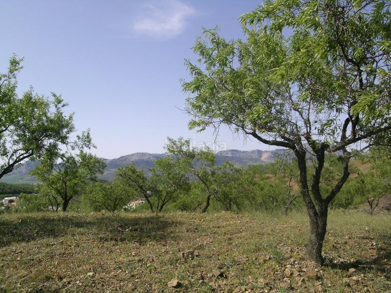 Foto 60a8ae96-5d1f-46aa-b96b-e4238379490a. Mas avec parking dans Colmenar