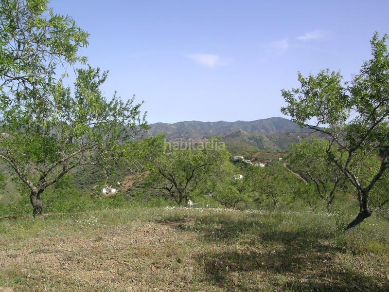 Foto 69920e25-a1c8-445c-a133-c0d7bdc1e951. Mas avec parking dans Colmenar