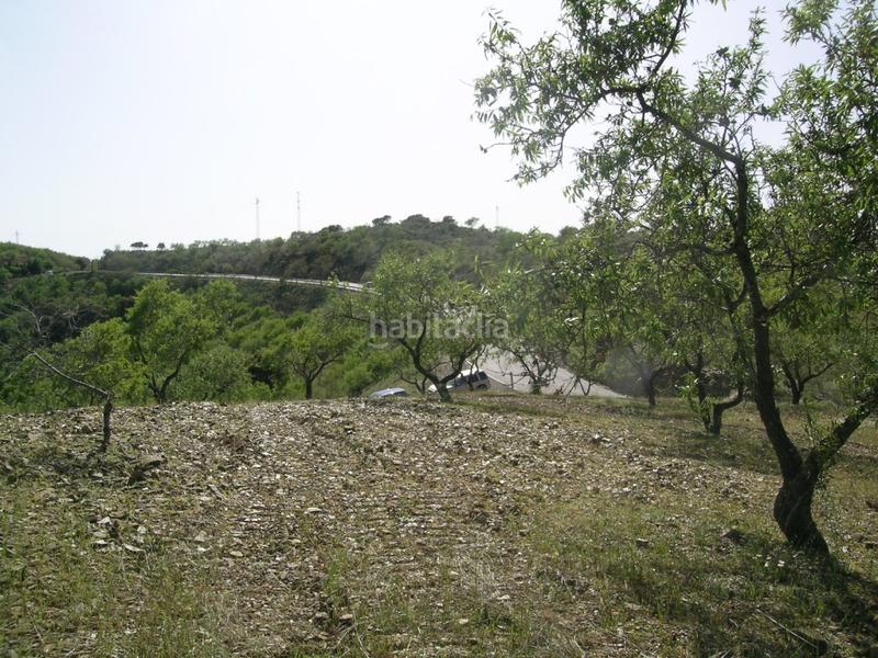 Foto a1ef111e-223d-404b-b313-dc2abe969e60. Mas avec parking dans Colmenar