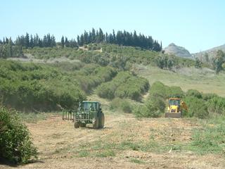 Finca rústica a Pizarra. Terreno vallado con un pozo. no hay agua corriente. la electrici