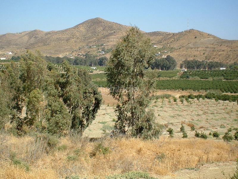 Foto 15797ac9-01e8-4f7a-be85-cf47cd229efc. Fondo rustico in Pizarra