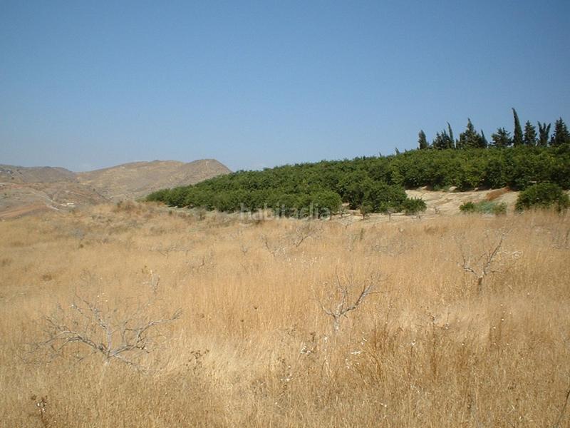 Foto 2903507b-374d-4827-9113-98c1cc647c83. Fondo rustico in Pizarra