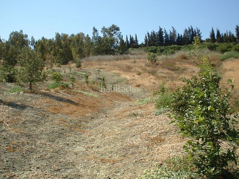 Foto 2cd545f0-1b84-4cc9-a74a-d138ce908ed6. Fondo rustico in Pizarra