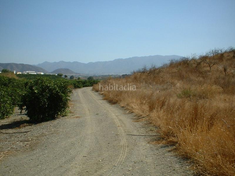 Foto 3ae27cdf-8c69-48f2-9298-cf7962d466e6. Fondo rustico in Pizarra