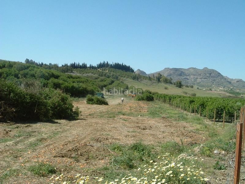 Foto 3c17b472-3033-4211-92d6-ff24d2cd4500. Fondo rustico in Pizarra