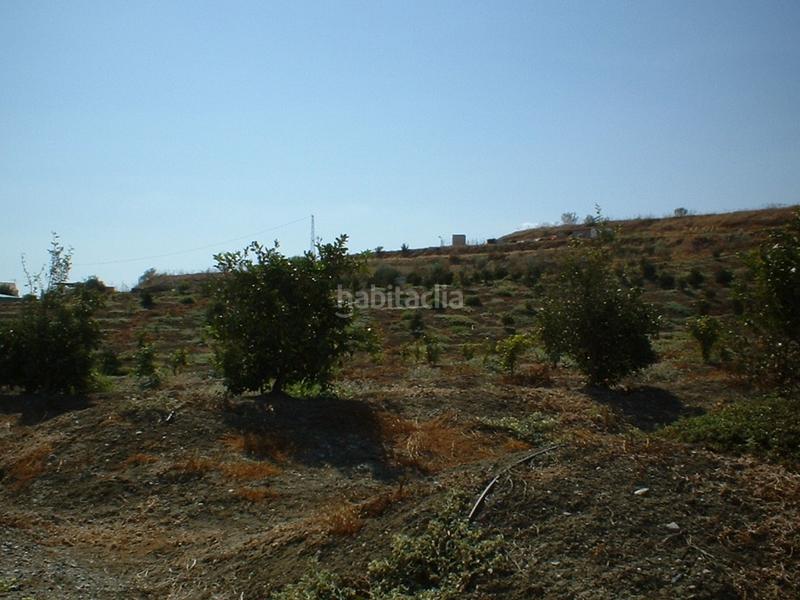 Foto 41fd2310-7906-436d-8fe7-822e1061d616. Fondo rustico in Pizarra