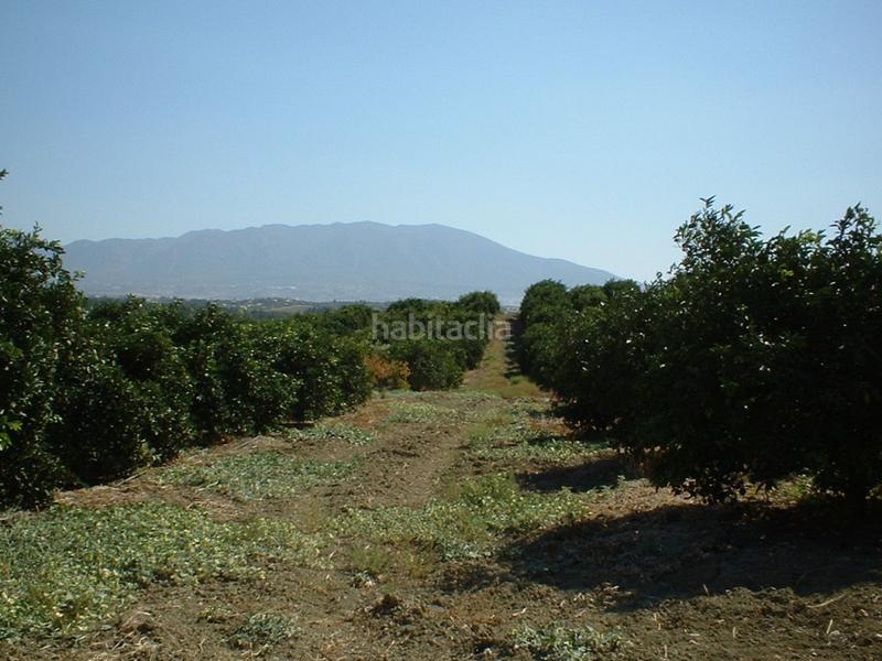 Foto 4b1b6d2e-e979-4b15-8c3d-e6aef07291aa. Fondo rustico in Pizarra