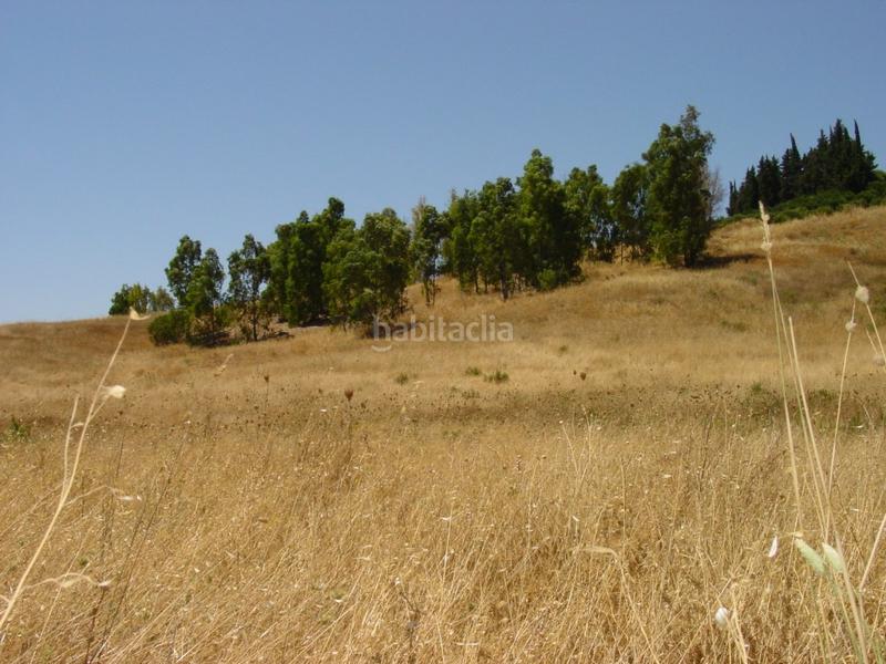 Foto 4ffaba9c-2fca-4e41-8c35-73e91b6e3d6f. Fondo rustico in Pizarra