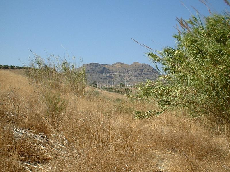 Foto c056e5a2-273f-4528-91d3-6a286677c613. Fondo rustico in Pizarra