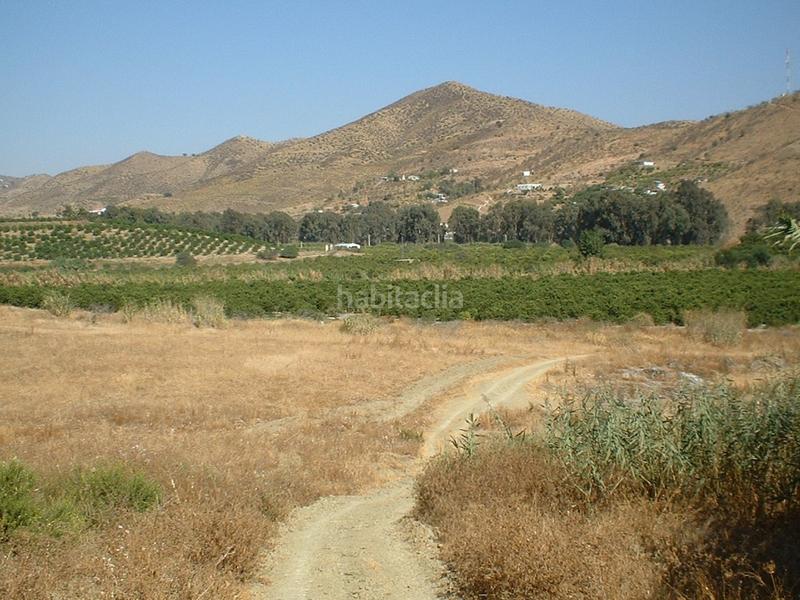 Foto d0a404d8-72da-4a2d-85da-6dbd76fdaba1. Fondo rustico in Pizarra