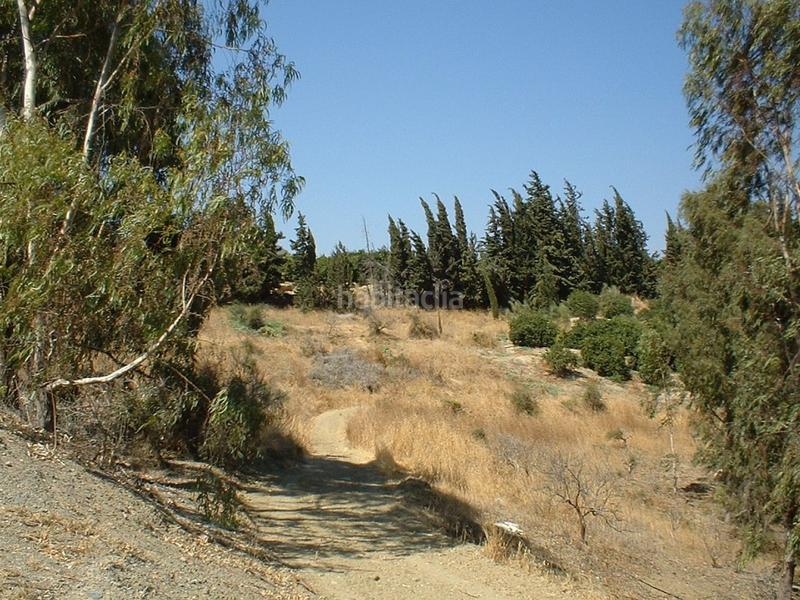 Foto f537f525-5282-4797-876b-8bc1522bc2ff. Fondo rustico in Pizarra