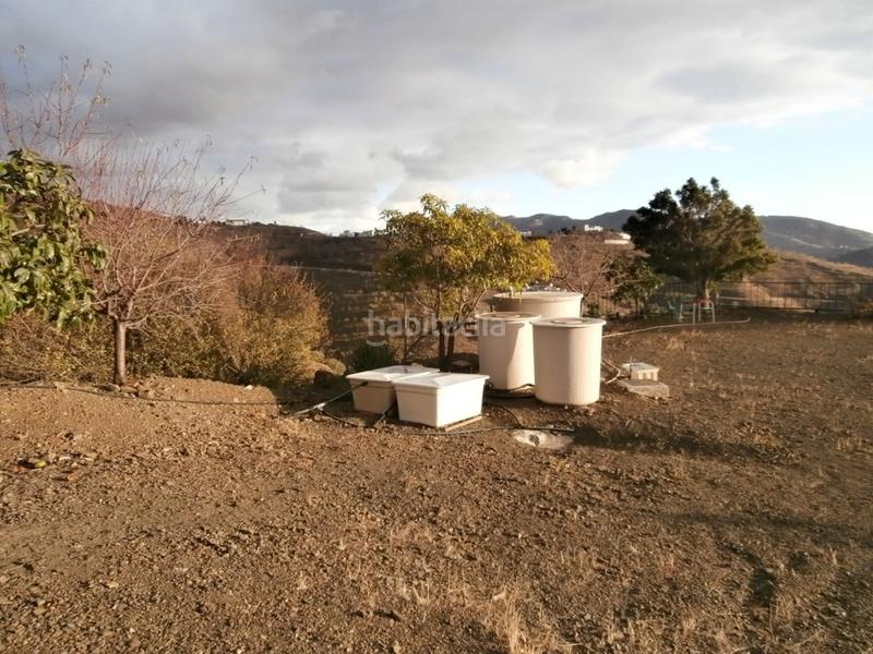 Foto 44f46d02-ffc1-4453-9381-5ce32ea34a6d. Fondo rustico in Canillas de Aceituno