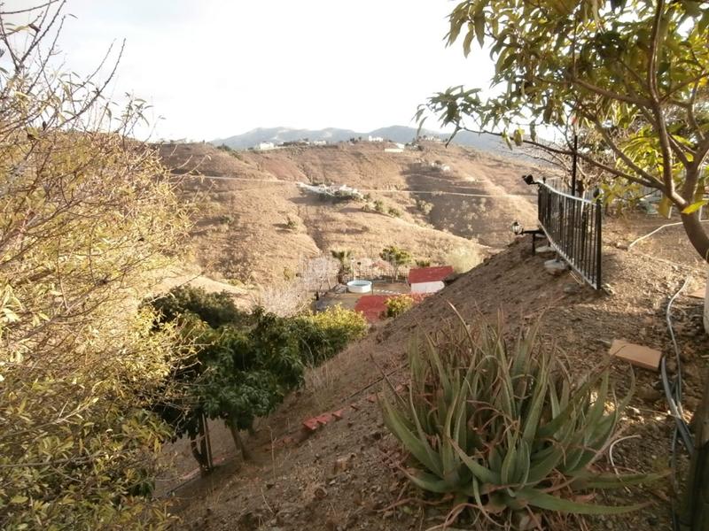 Foto 60b7500d-3105-4b9b-a4f1-97243c680766. Fondo rustico in Canillas de Aceituno