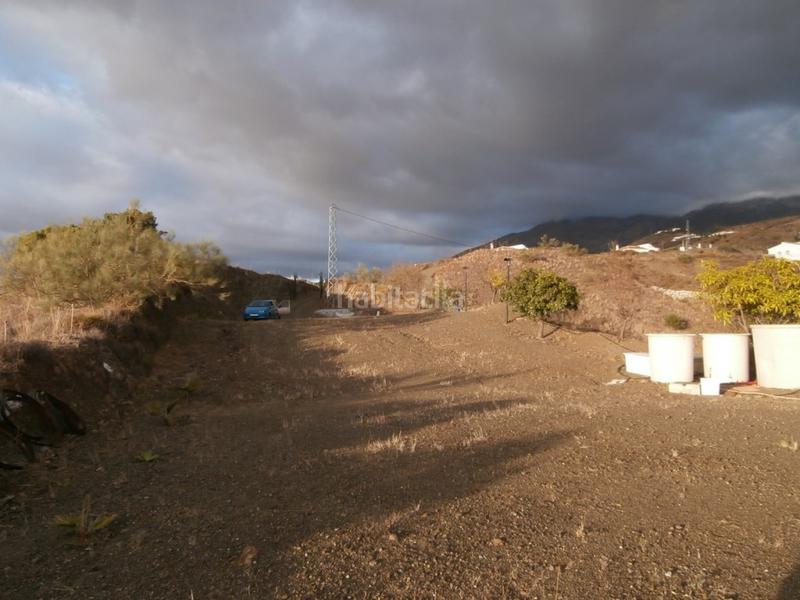 Foto 9a50156e-297d-46c7-8ea8-6ed6332f4726. Fondo rustico in Canillas de Aceituno