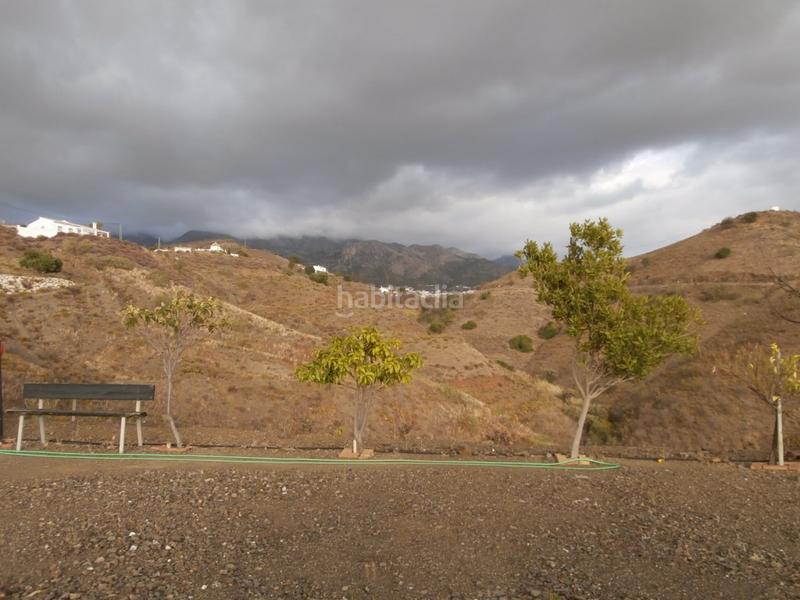 Foto dd8ef92a-3201-41b0-9bed-ed9ef94c2fb3. Fondo rustico in Canillas de Aceituno