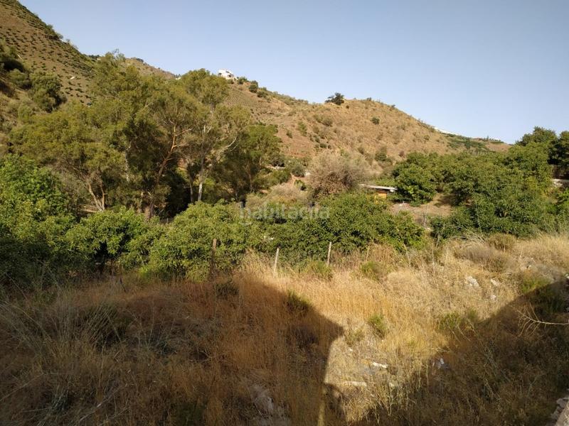 Foto 4abe23f4-9f21-4cd8-b140-827ad647e4fd. Fondo rustico in Viñuela