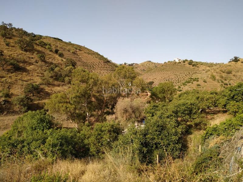 Foto c9305037-1352-4d31-b954-544e1ceb7bf7. Fondo rustico in Viñuela