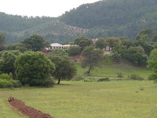 Finca rústica en Villaverde de Guadalimar. Terreno urbanizable de 320.000 m2. luz y agua. acceso por carret