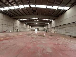 Location Bâtiment à usage industriel à Palou. Visibilidad, eficiencia y espacio para crecer a pocos minutos de