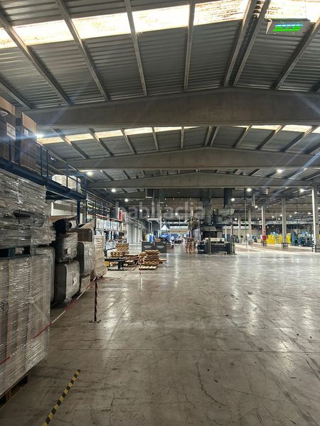 Foto 06746a01-157c-4ef0-8fe9-3acc559381b4. Nau industrial a Hostalric