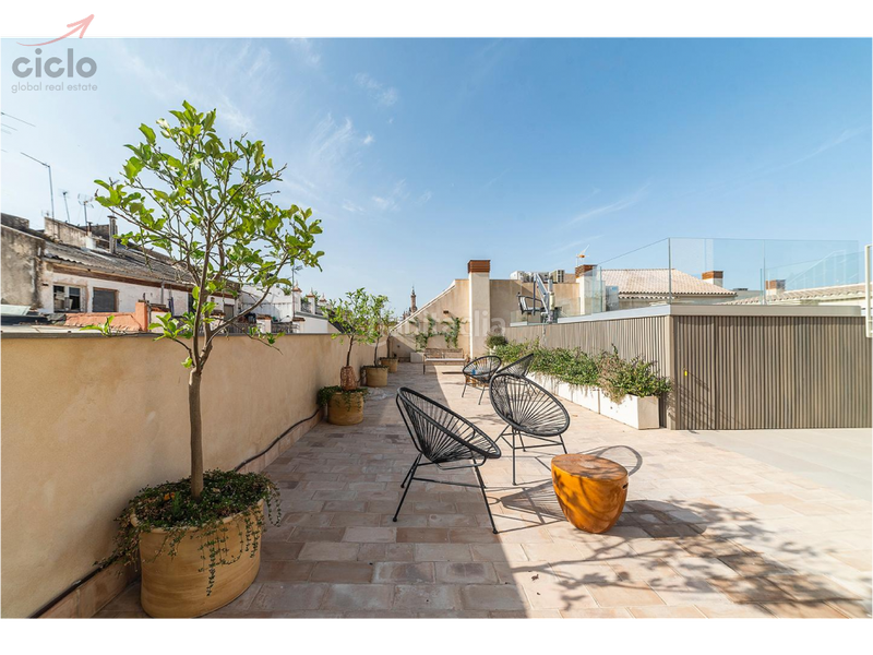 Foto ba36efaa-f0ea-4eeb-af68-bcd4e8f91dec. Flat with pool in Feria Sevilla