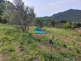 Terreny residencial a Bigues i Riells. Solar en venta en urbanización.
