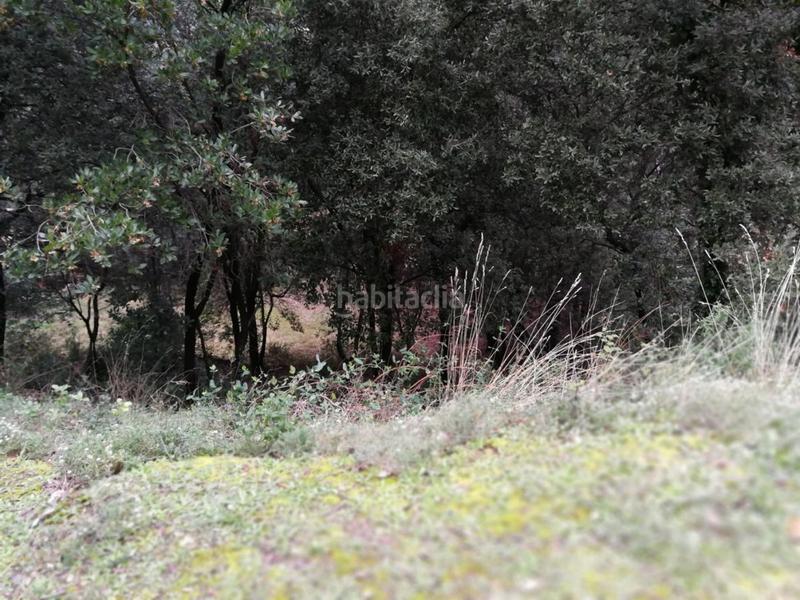 Foto 6f4d9c61-2b4d-451b-8005-833e0bbcbba0. Terreny residencial a Bigues i Riells del Fai