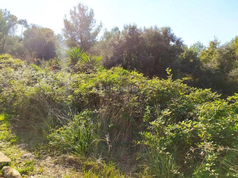 Foto 46301ac2-d58d-4e6c-931d-0ae6860efd0b. Terrain résidentiel dans Mas romeu Calafell