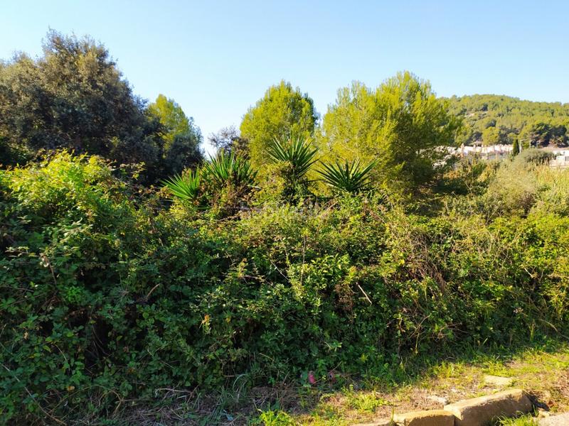 Foto 4fa7a6c4-981b-432b-b2ae-c2e6d3a6ba35. Terrain résidentiel dans Mas romeu Calafell