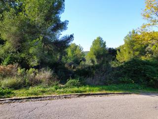 Residential Plot in Mas romeu. Parcela de 1.552m2 en calafell urbanización  mas romeu tarragona