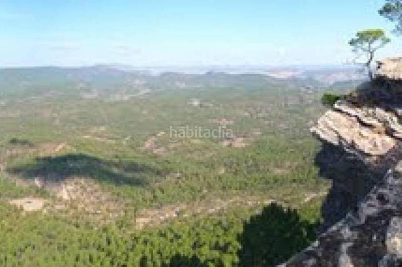 Foto c79e28d2-2671-4575-979e-f6c471ab46ec. Finca rústica a San Fernando - Carretera de Valencia Cuenca