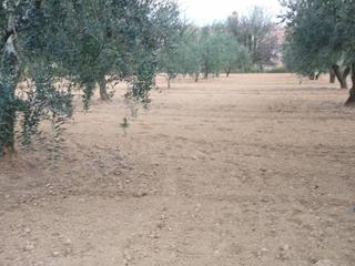 Terreno residenziale in Piera. Solar en la mejor zona hostalets de pierolaanoia barcelona