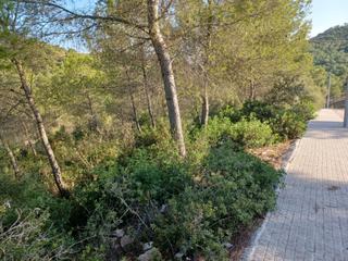 Residential Plot in Castellet i la Gornal. Terreno urbano edificable en venta de 1287 m en castellet i la g