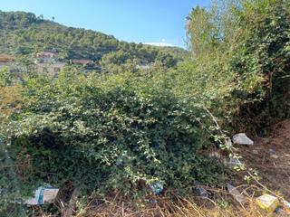 Residential Plot in Castellet i la Gornal. Parcela en venta de 832 m2 en castellet i la gornal urb.los rosa