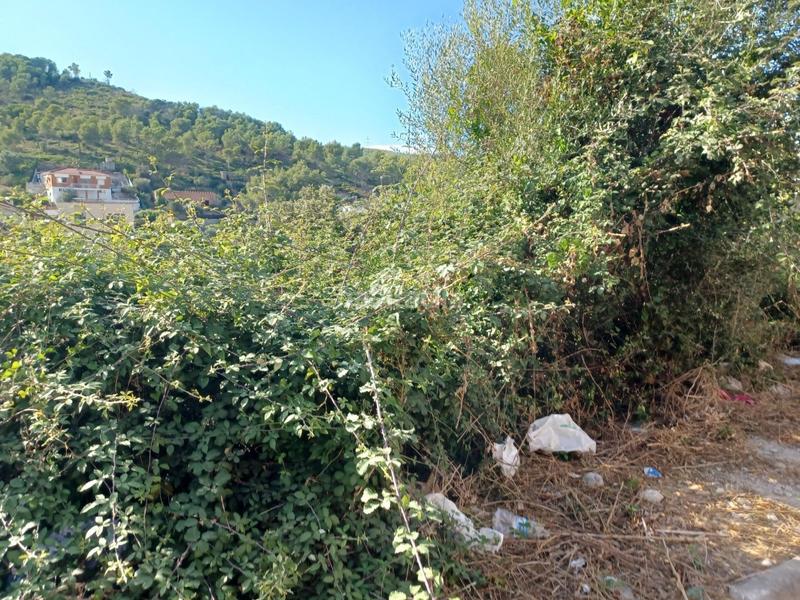 Foto d50b879f-18de-4e83-8509-2d8da723df9c. Terreny residencial a Castellet i la Gornal