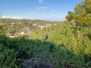 Residential Plot in Castellet i la Gornal. Terreno urbano edificable en venta de 1.082 m en castellet i la