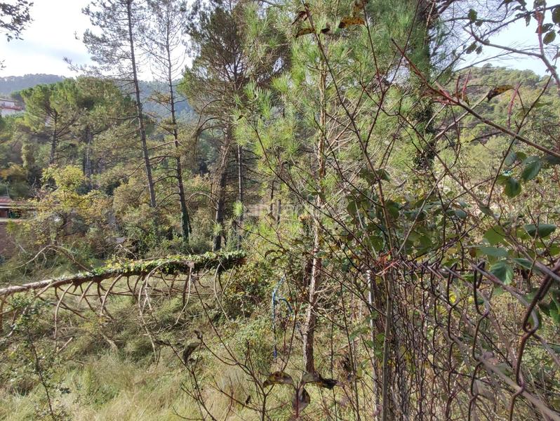 Foto 09c736d3-4265-4086-bb81-990b8b7385f1. Landgut in Monistrol de Calders