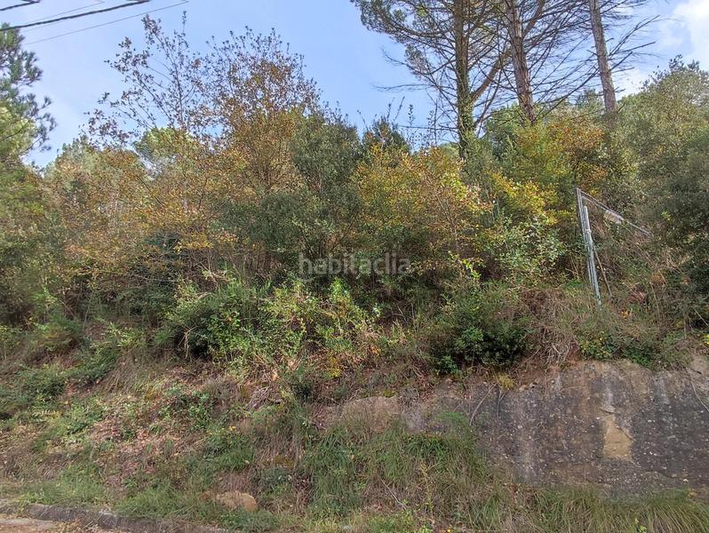 Foto 2c9d66c3-3a76-440d-80f7-8e327d82d0c8. Landgut in Monistrol de Calders