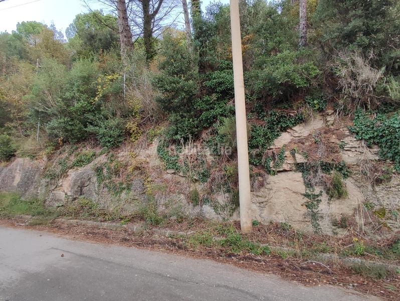 Foto 4fa713c6-31e6-49bf-ba3a-7dfe0383d0c6. Landgut in Monistrol de Calders