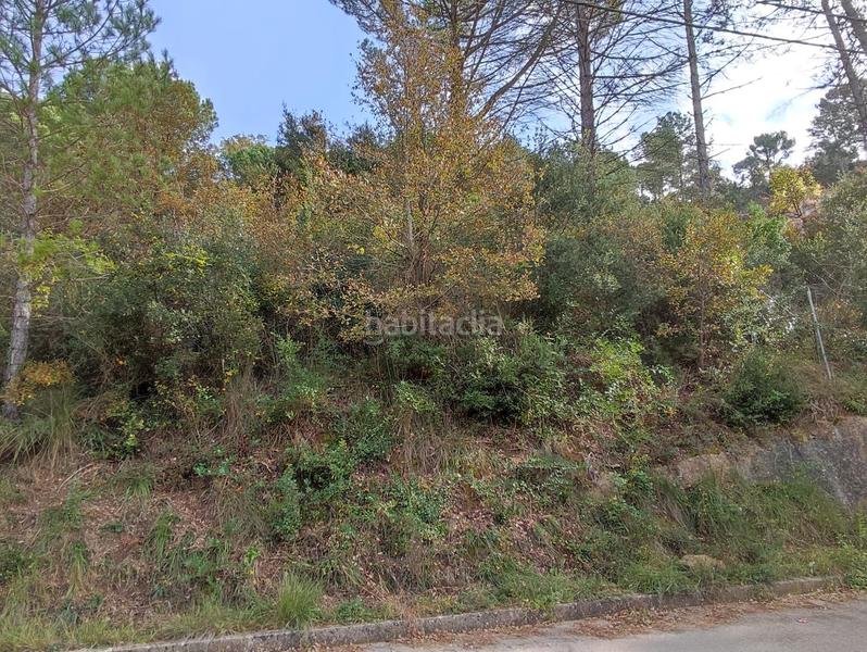 Foto 57519572-01ba-4af8-a704-389ef517e3d6. Landgut in Monistrol de Calders