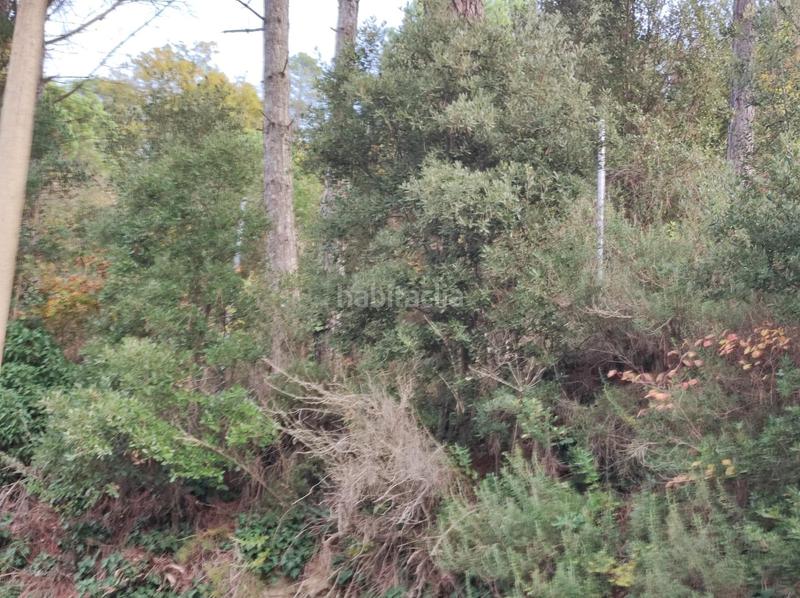 Foto 6e26691c-4e46-4071-906c-947524d52770. Landgut in Monistrol de Calders